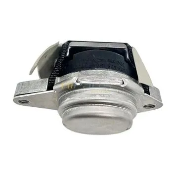 Engine Mount for Volkswagen Phaeton 3D0399151af 3D0399151as 3D0399152n